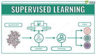 好奇心 驱动人工智能基础软件开发的隐形引擎